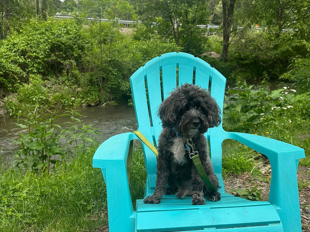 Voodoo Brewing Co. - State College Pub