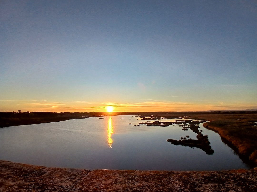 Tour Carbonniere-艾格莫尔特必去景点