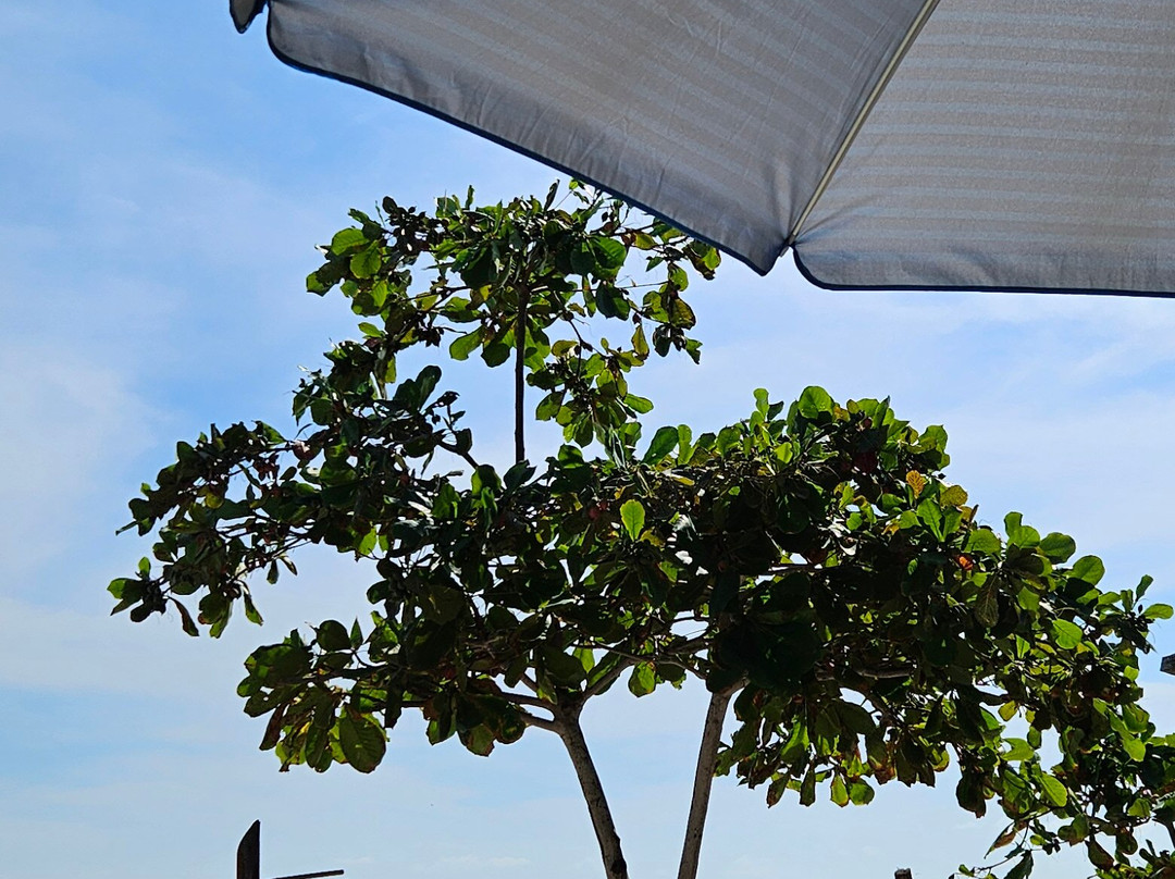 Hotel La Quinta del Sol主图