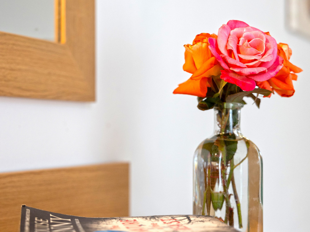 佩拉加港酒店主图