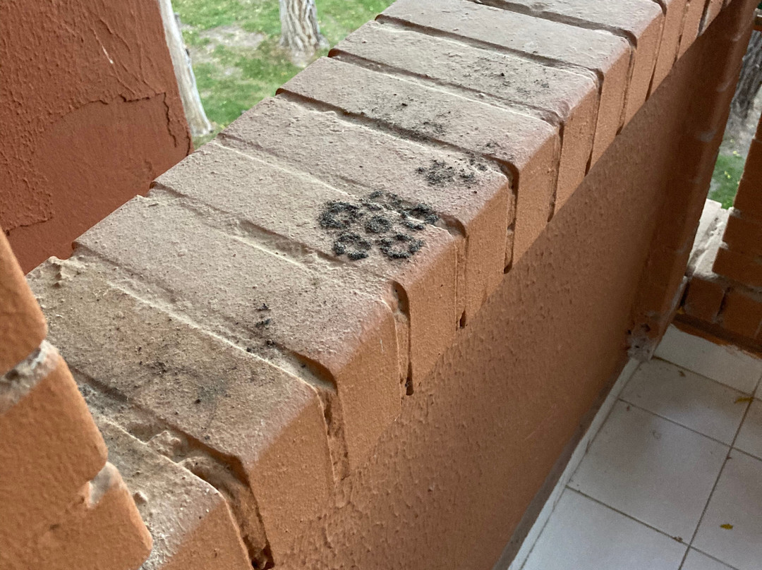 Polat Thermal Hotel主图