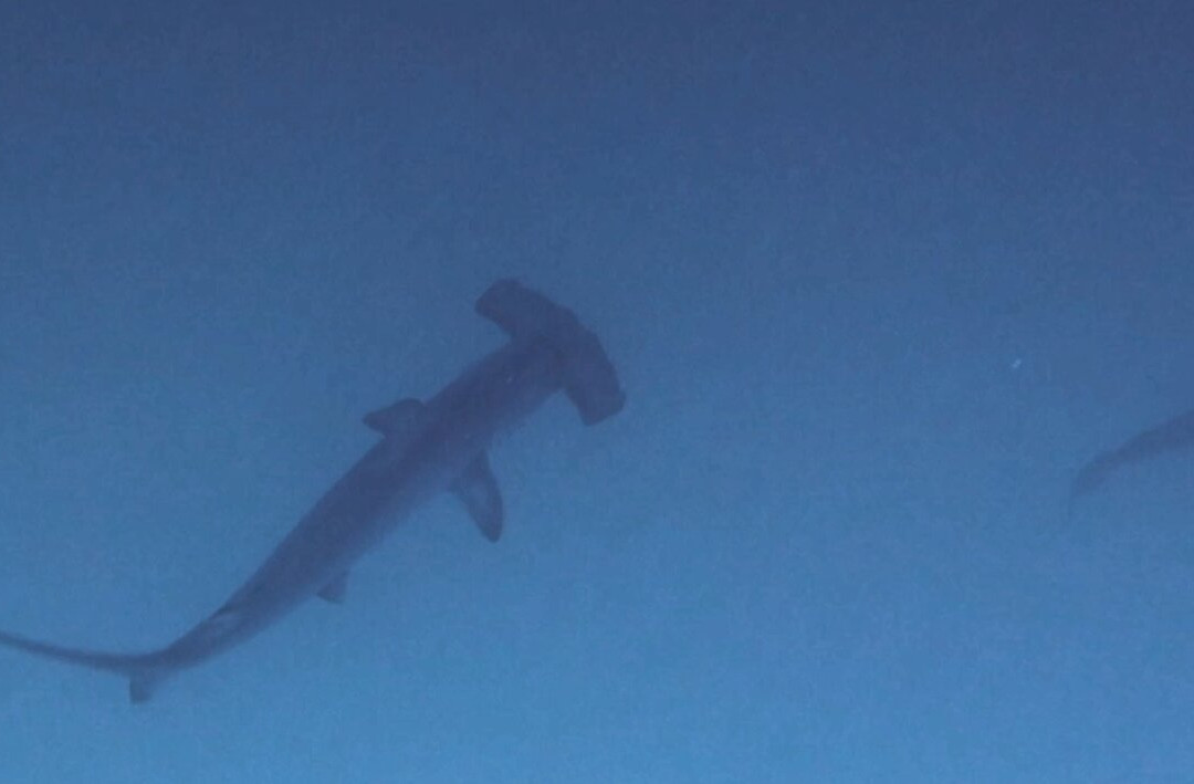 科提兹海-下加利福尼亚州必去景点