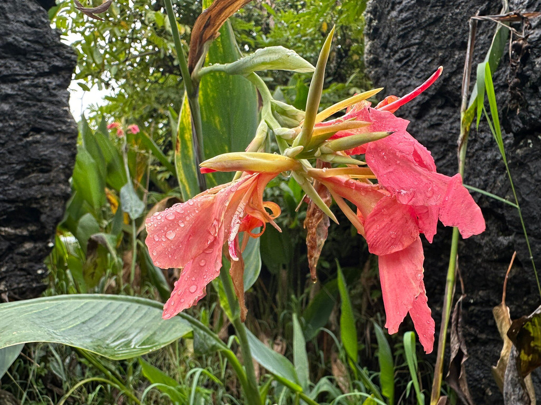 天星桥景区-镇宁布依族苗族自治县必去景点
