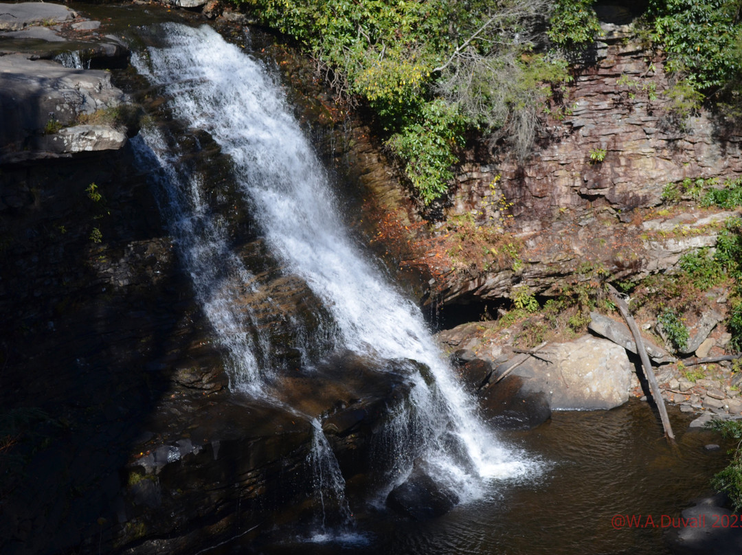 Swallow Falls State Park-Oakland必去景点