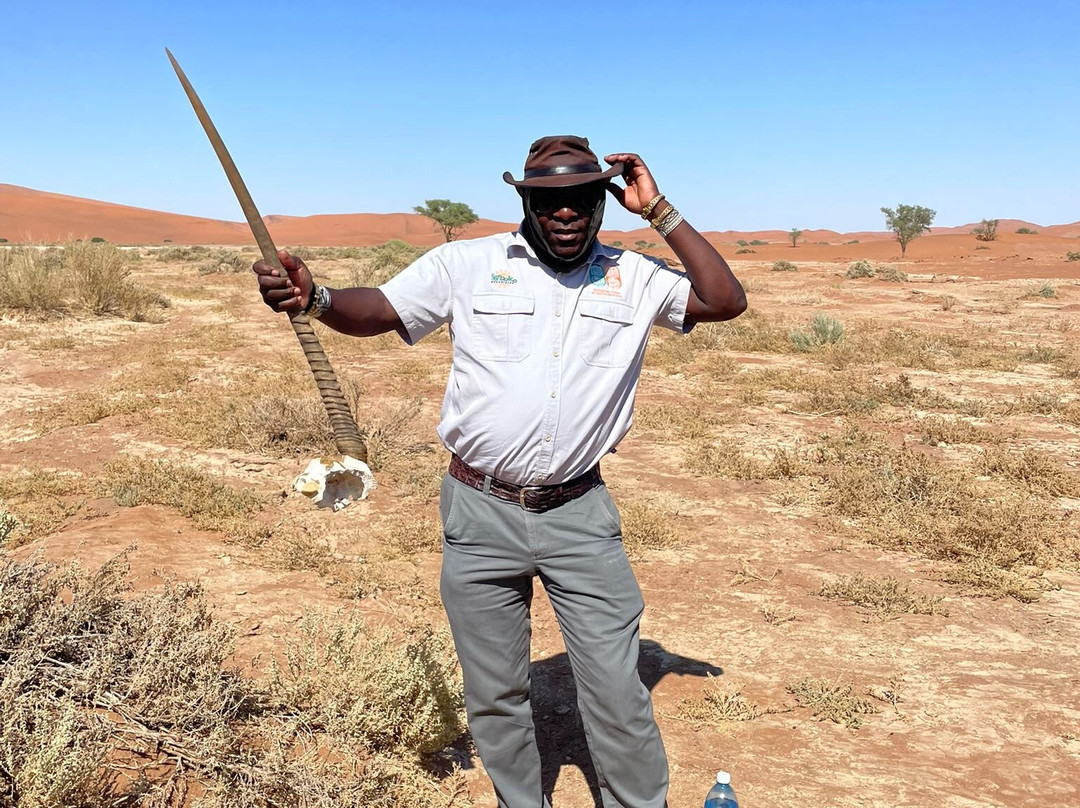 Kiboko Adventures-开普敦中心区必去景点
