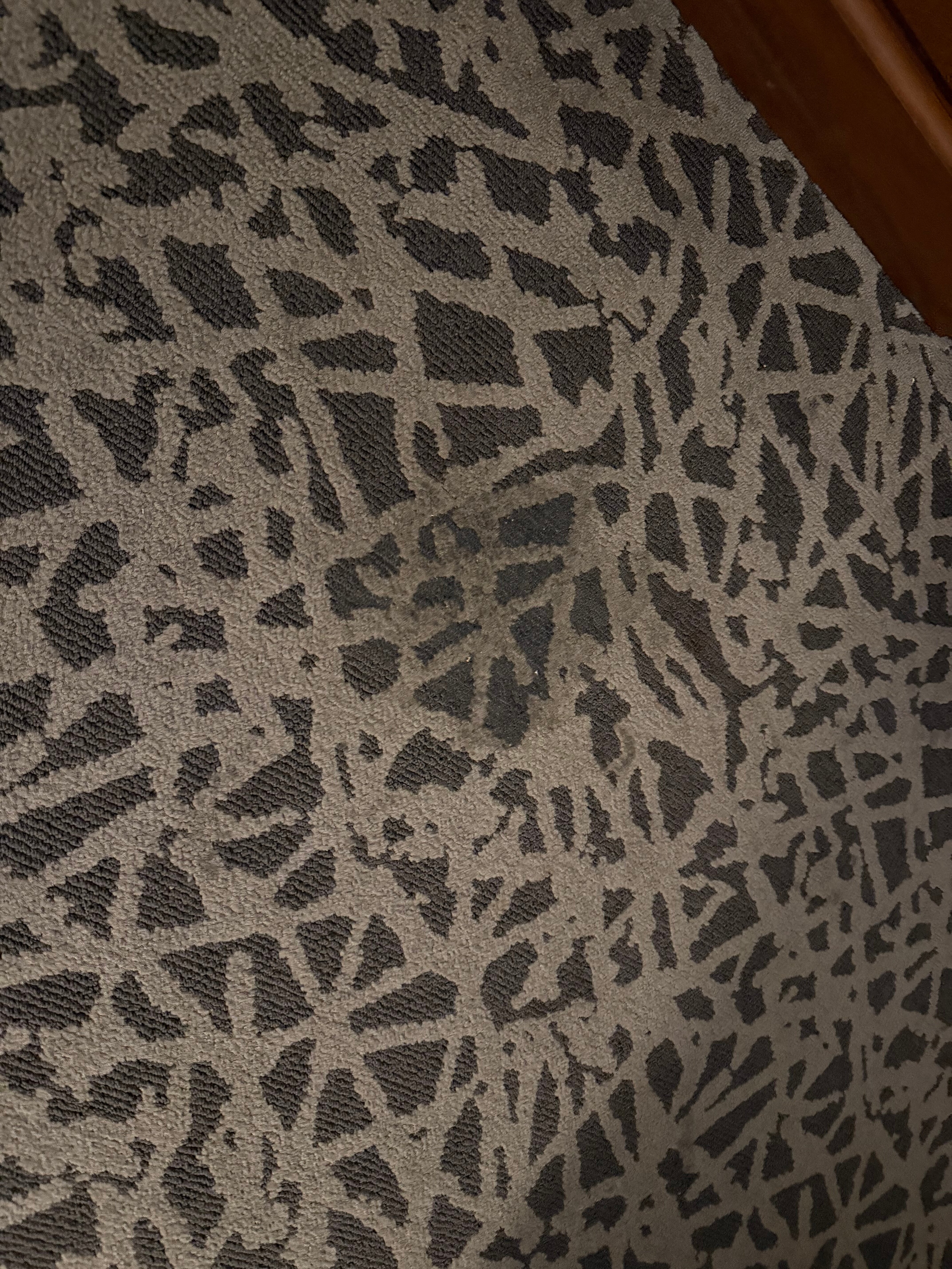 Drury Inn & Suites Cleveland Beachwood-官方