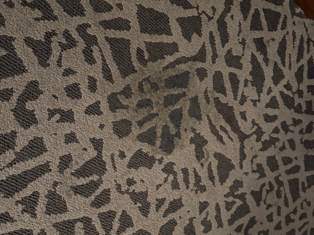 Drury Inn & Suites Cleveland Beachwood主图