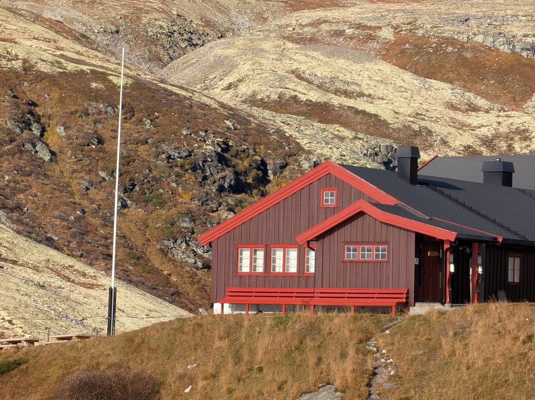 Rondane National Park-Eastern Norway必去景点