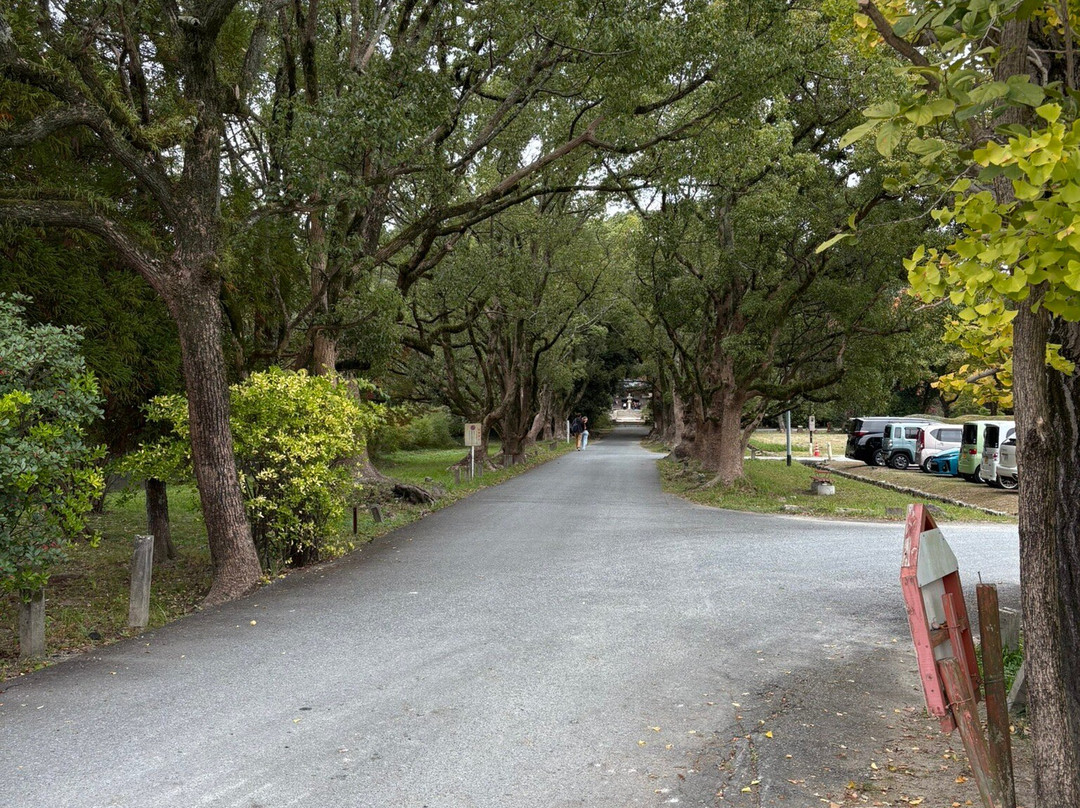 Kanzeon Temple-太宰府市必去景点