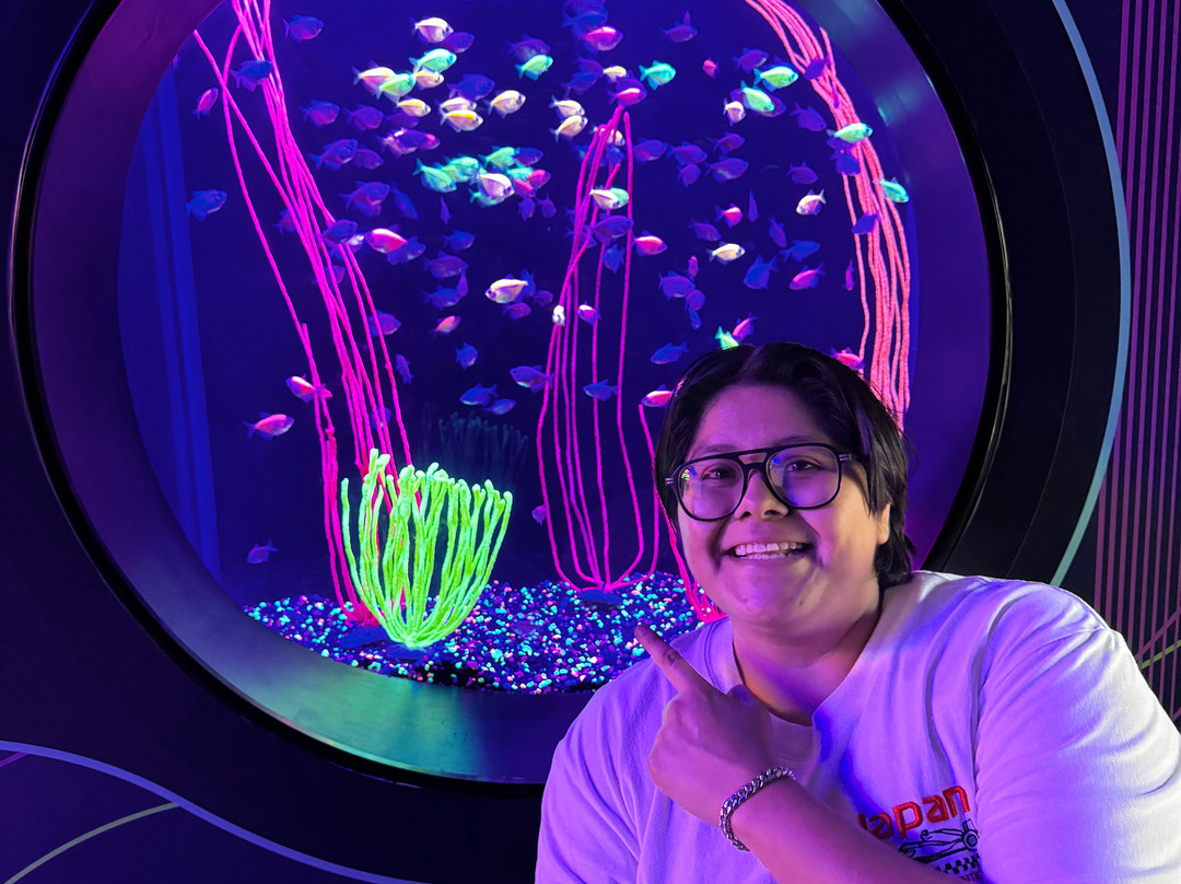 Acuario Michin Guadalajara-瓜达拉哈拉必去景点