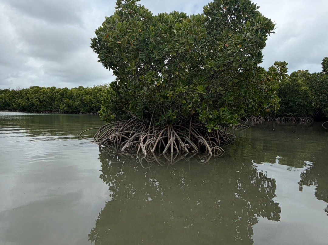 Sea Kayak Adventures-毛里求斯必去景点