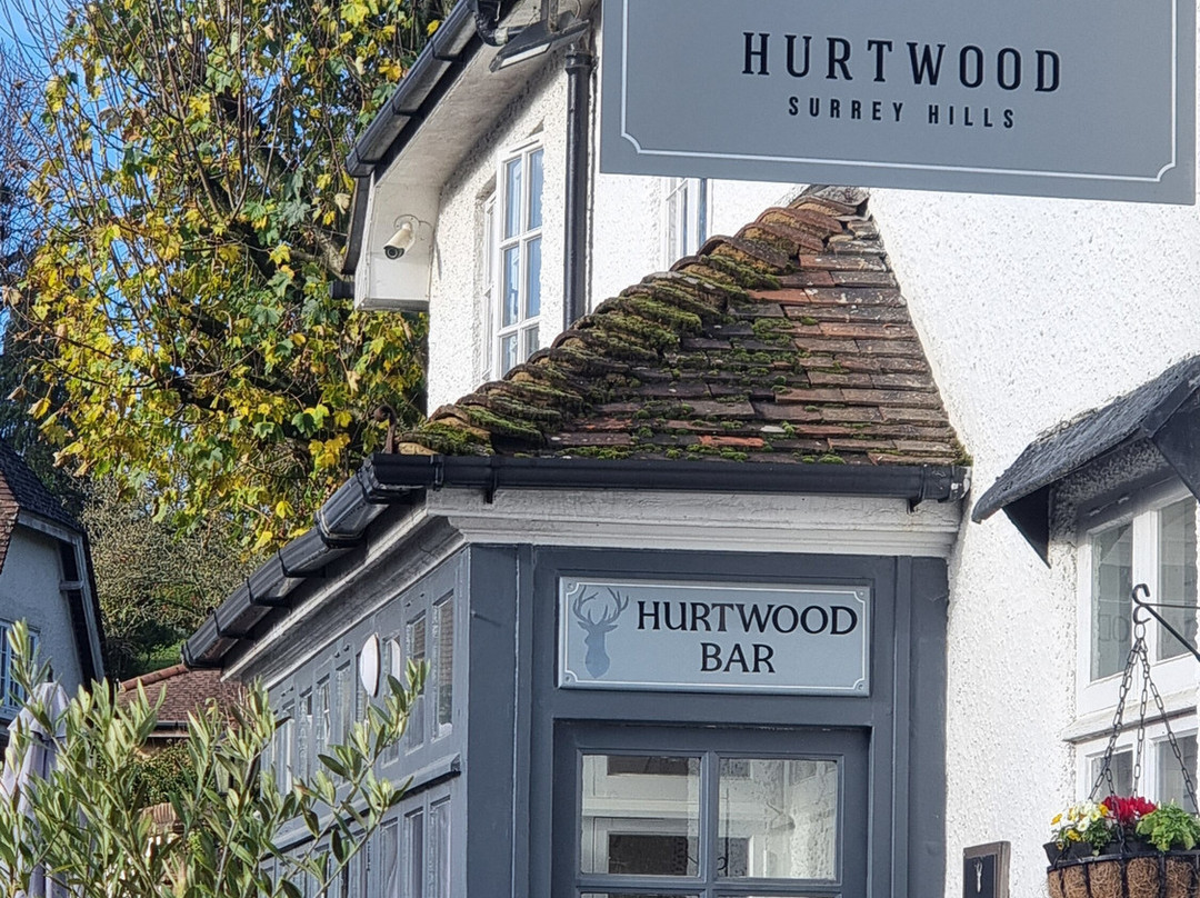 Hurtwood Hotel Bed & Breakfast主图