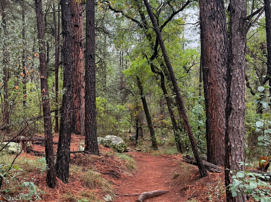 Boynton Canyon Trail-塞多纳必去景点