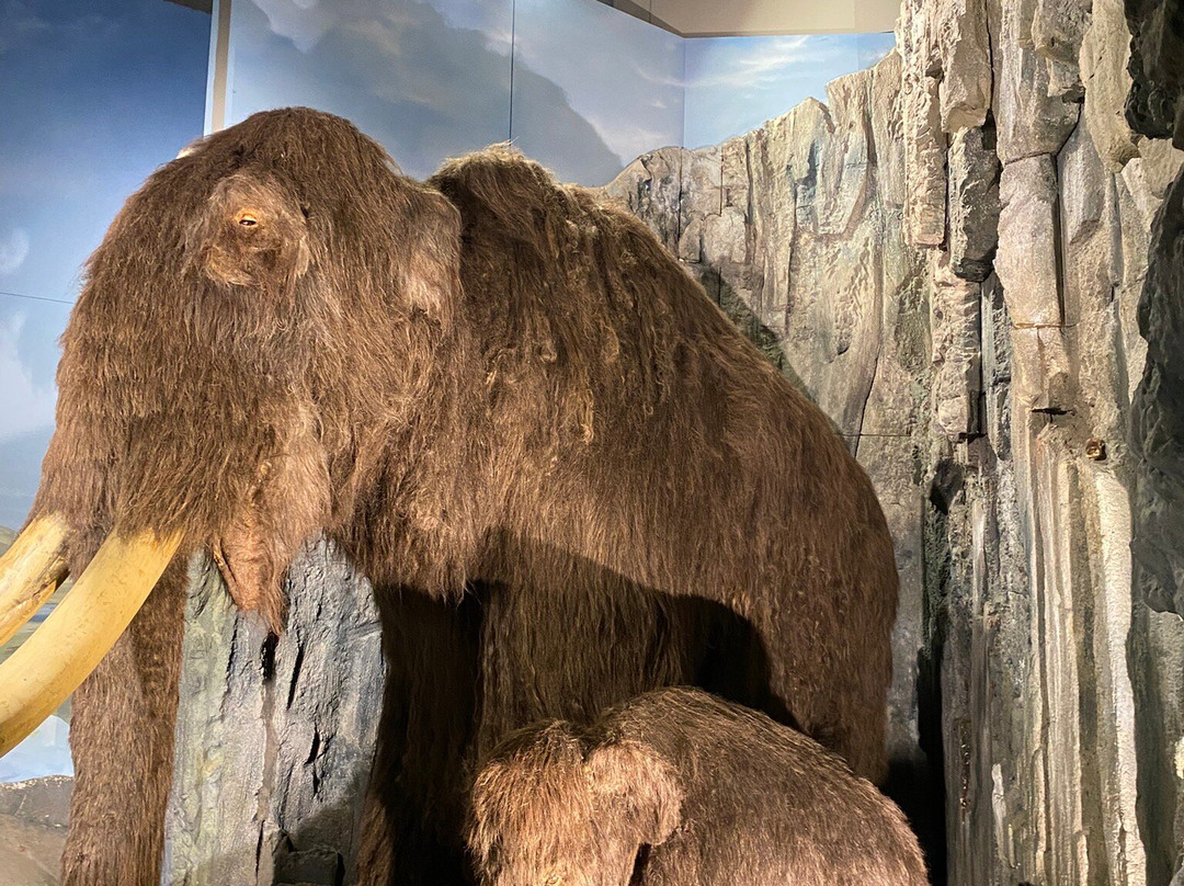 National Museum Cardiff-卡迪夫必去景点