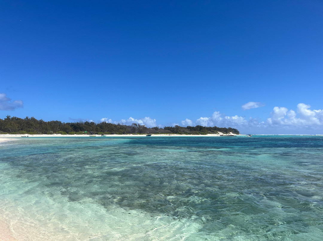 One Drop Excursions-格兰高伯必去景点