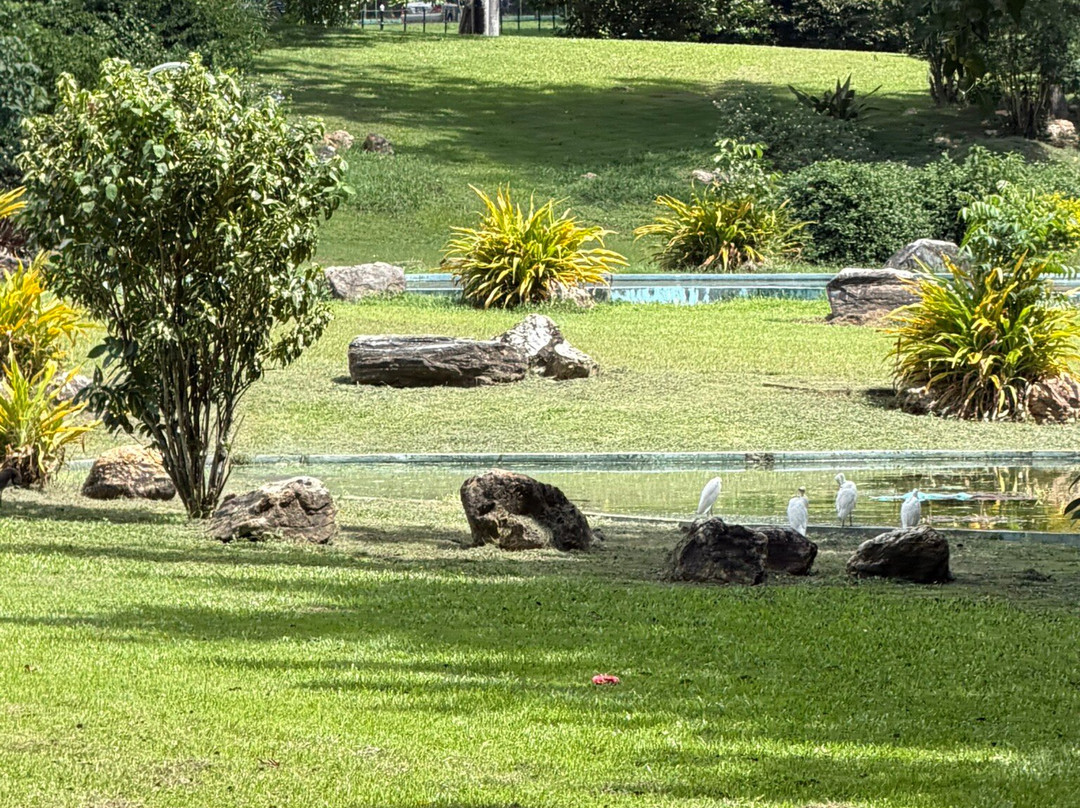 萨瓦纳女王公园-西班牙港必去景点