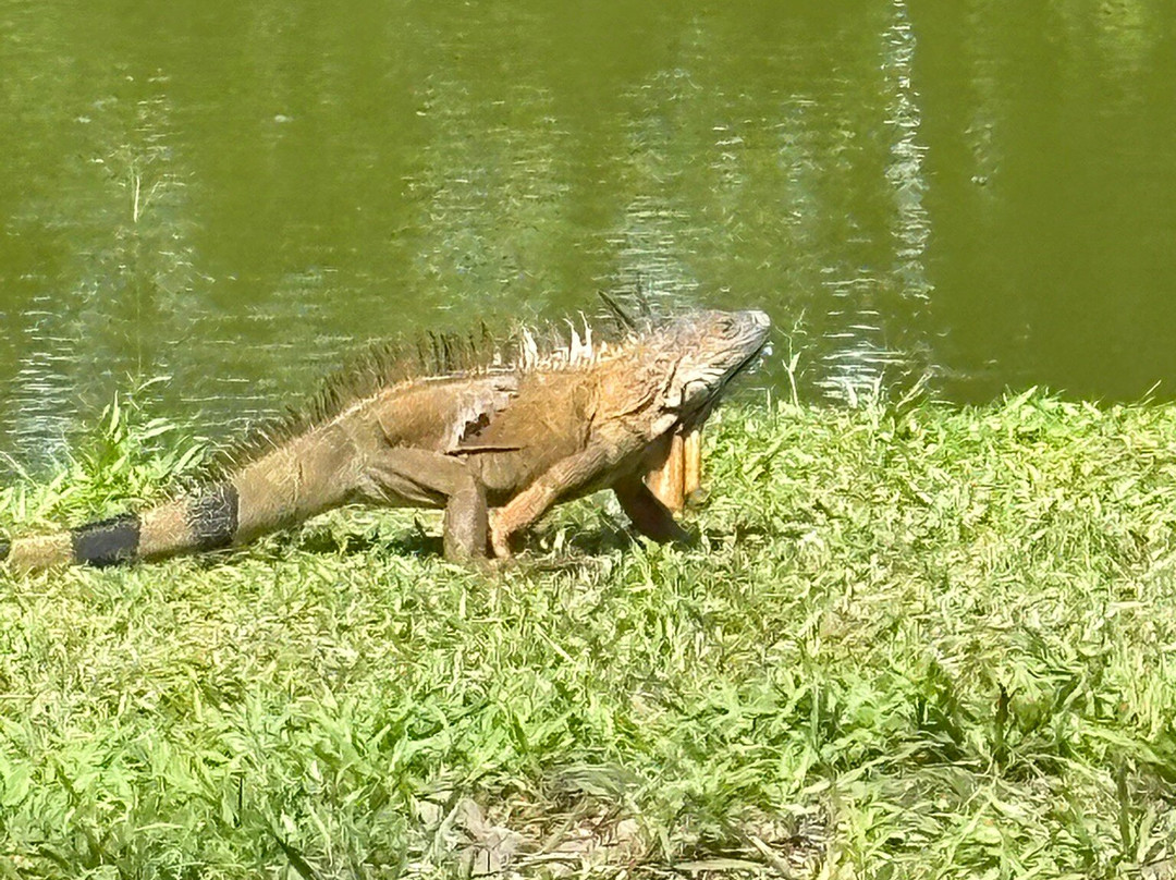 Finca Sura-Puerto Viejo de Sarapiqui必去景点