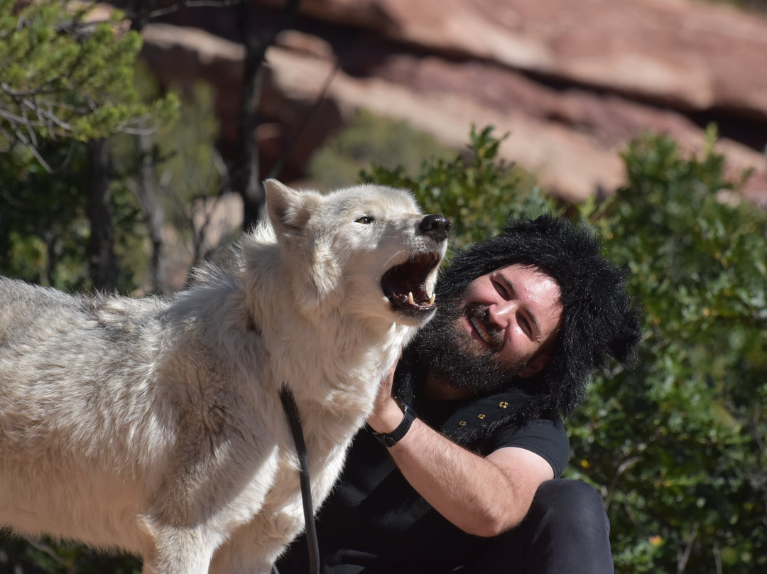 Colorado Wolf Adventures-Woodland Park必去景点