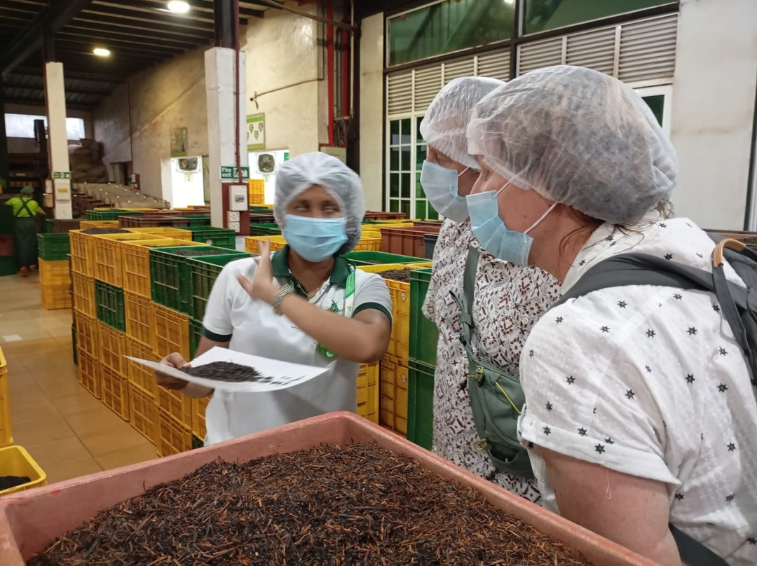 Travel J Sri Lanka-Thalawathugoda必去景点