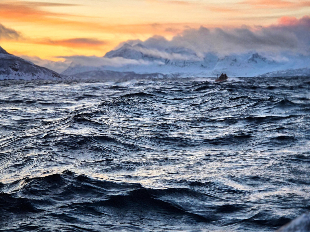 Lofoten Opplevelser-霍宁斯沃格必去景点