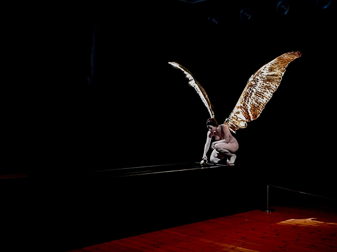 维多利亚女王博物馆和美术馆-朗塞斯顿必去景点