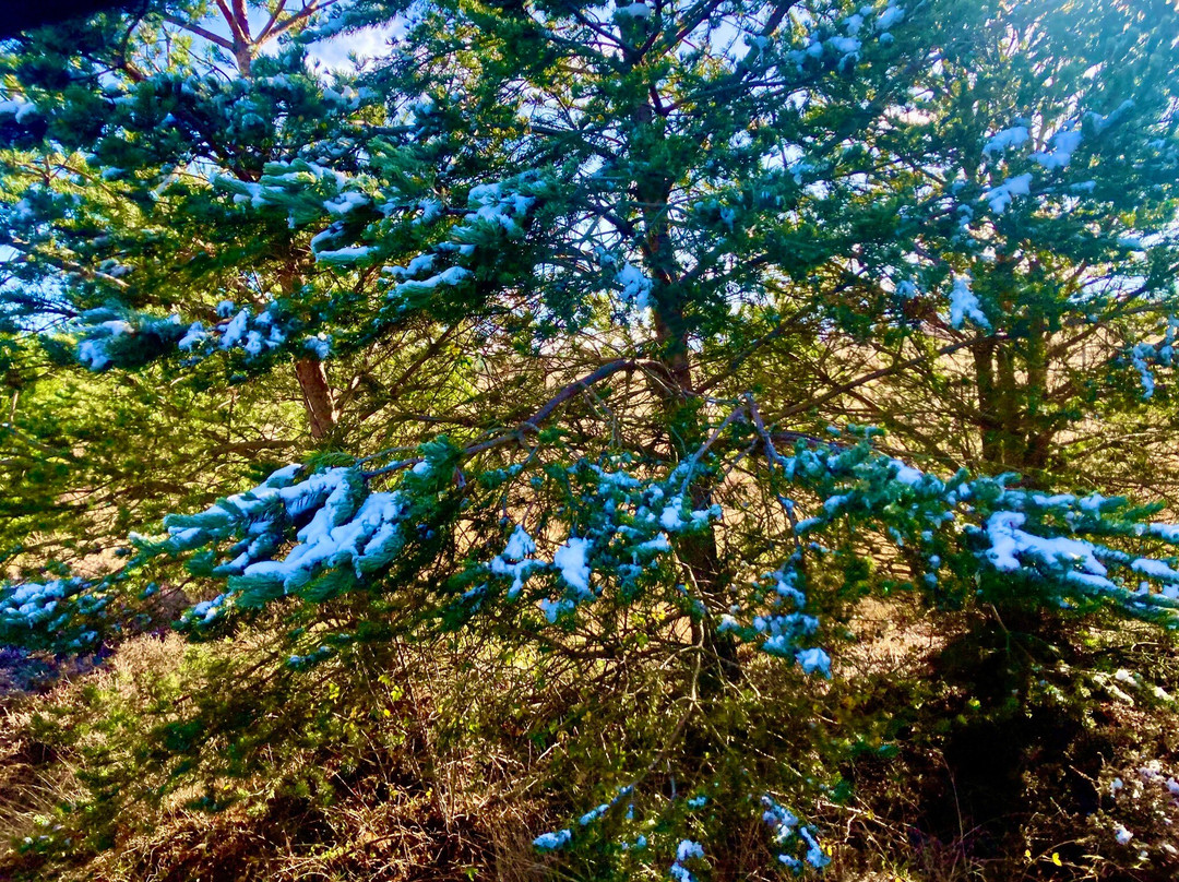 Paleolitico Vivo-布尔戈斯省必去景点