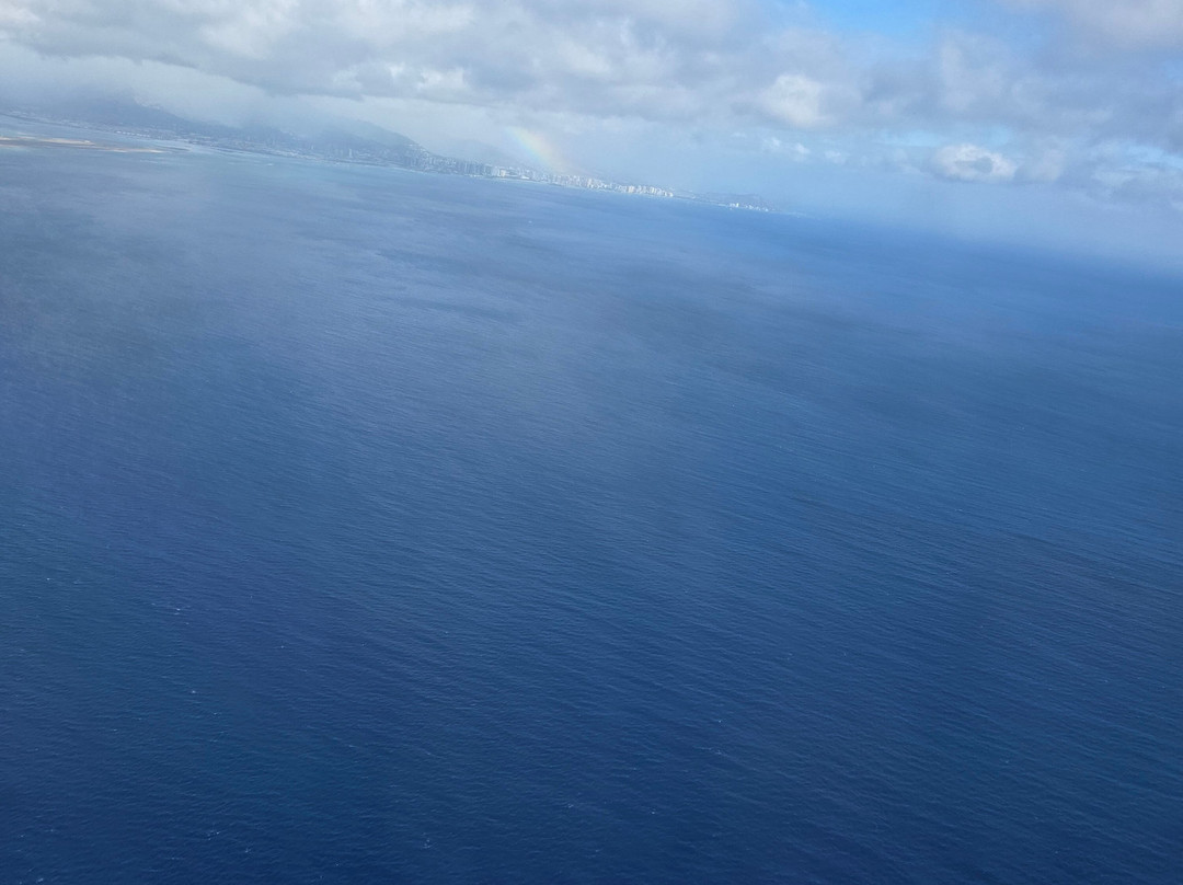 Kona Ocean Experience-凯鲁瓦-柯纳必去景点