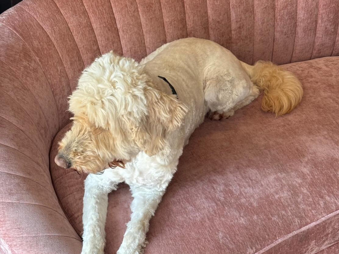 The Imperial Dragon Hotel主图