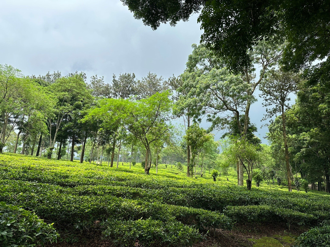 Private Driver Surabaya - Day Tours And Travel Guide-泗水必去景点