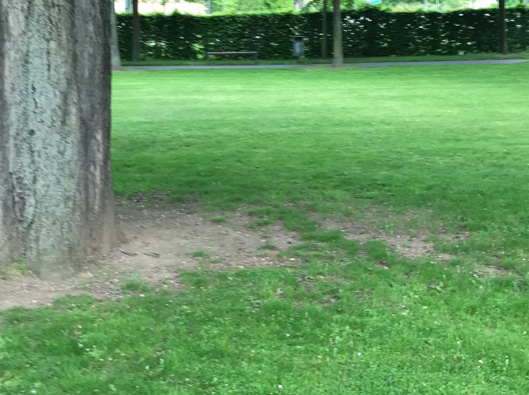 Kitchen Garden - Küchengarten-Gera必去景点