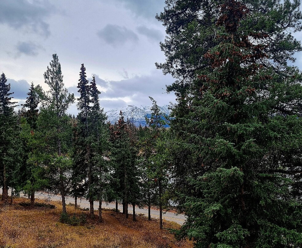 金字塔湖度假酒店主图