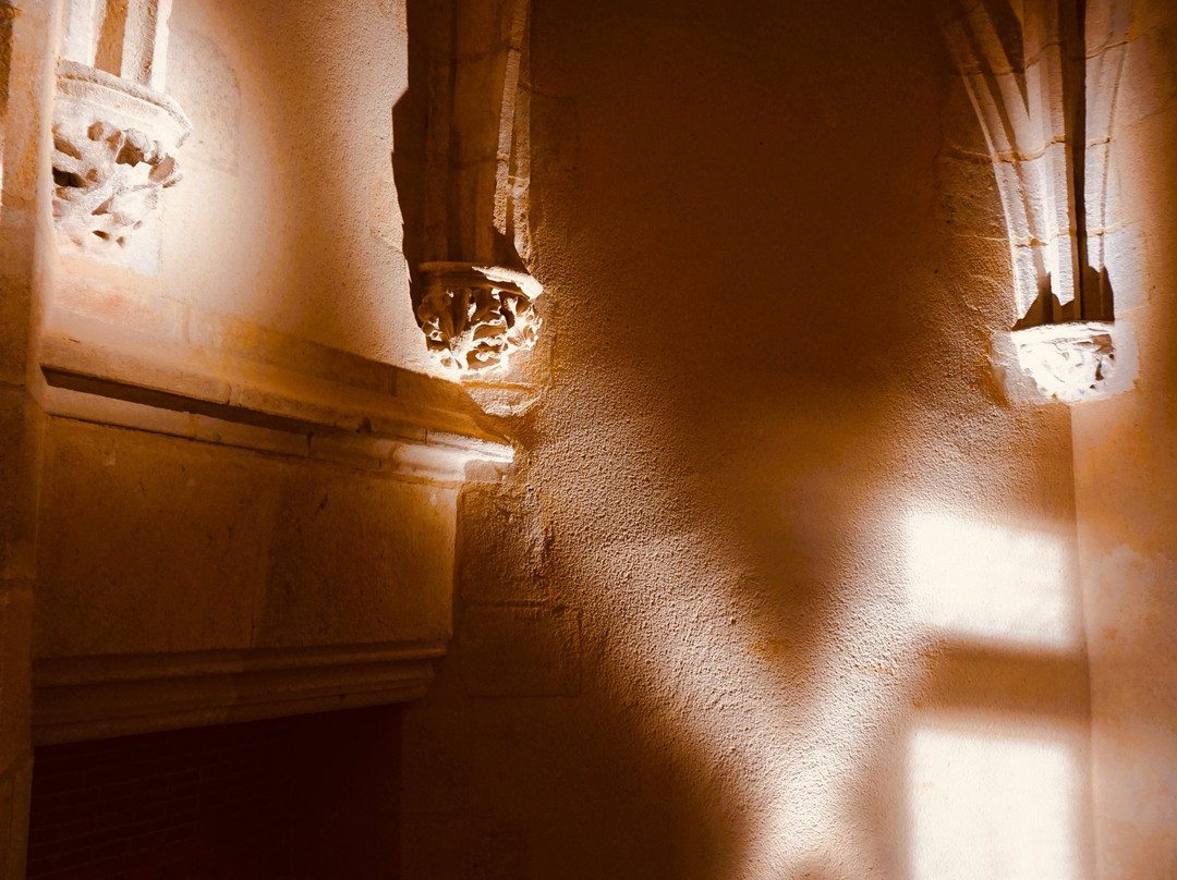 Château des Ducs de Bourbon-蒙吕松必去景点