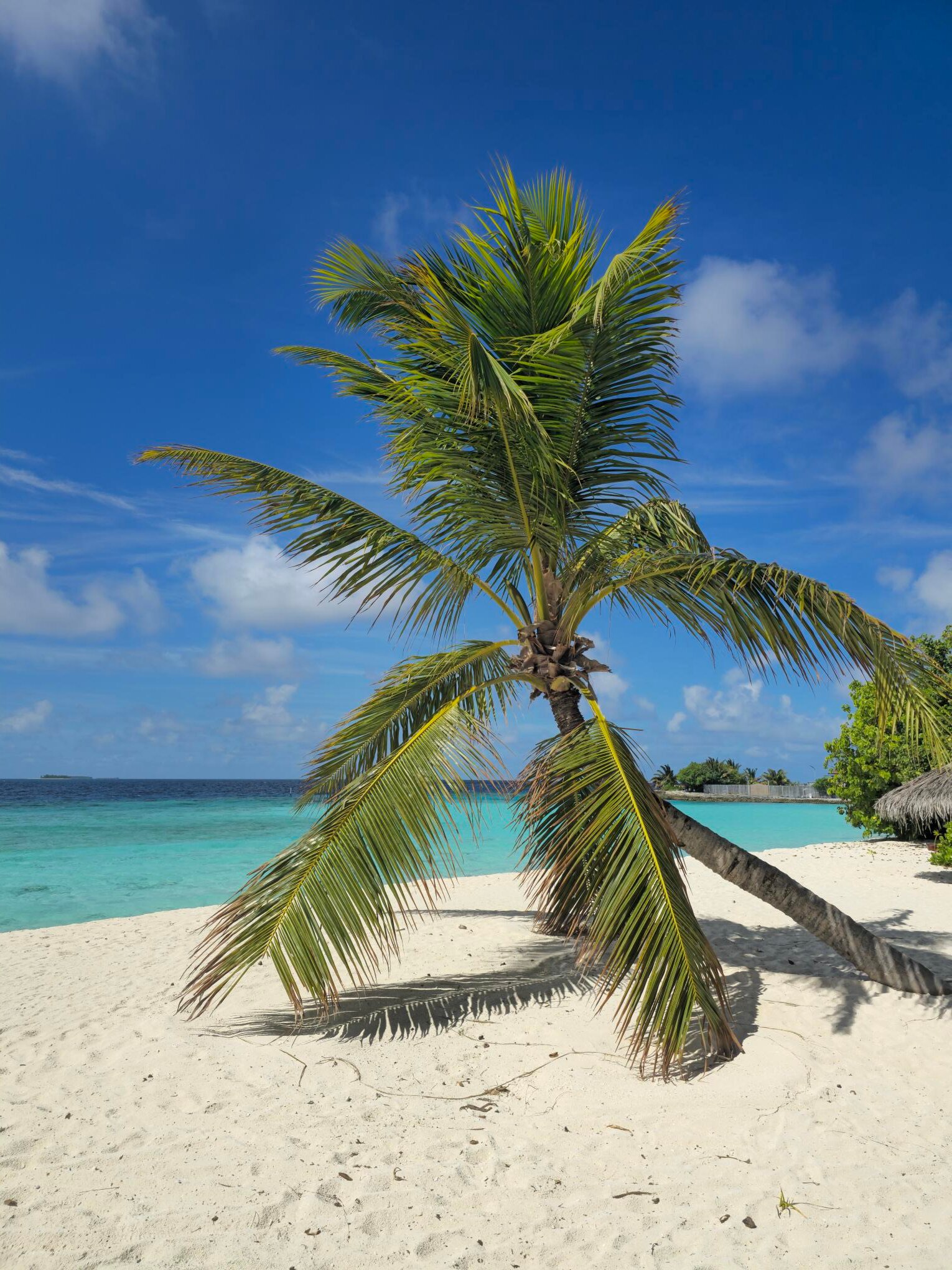 鲁滨逊俱乐部度假村-官方