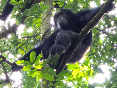 Muzbag Safaris-坎帕拉必去景点