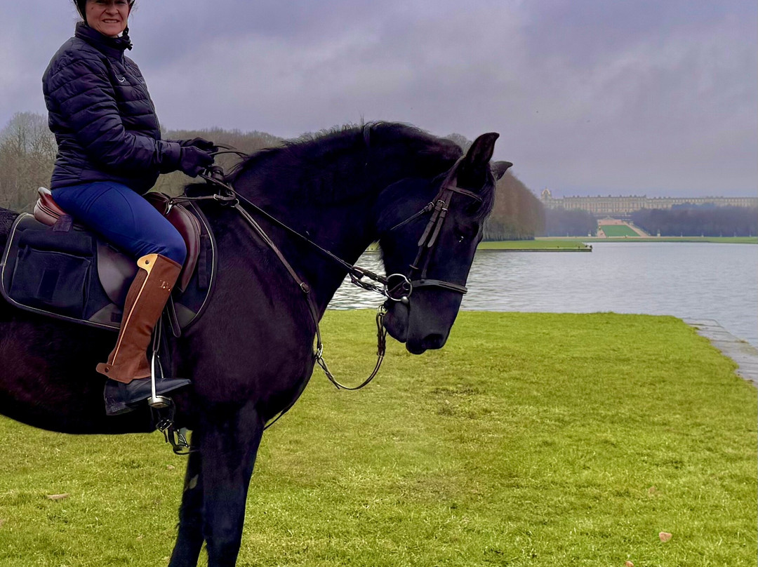 Horse in the City-巴黎必去景点