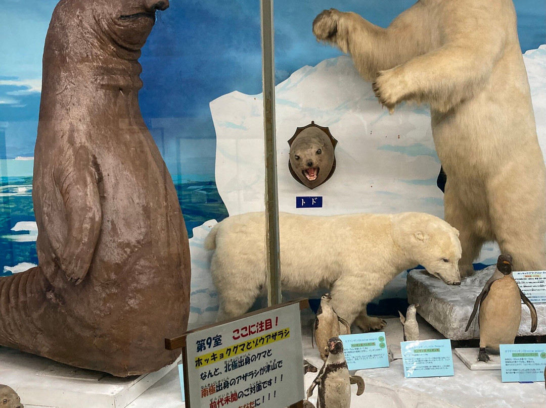 Tsuyama Nature & Mystery Museum-津山市必去景点