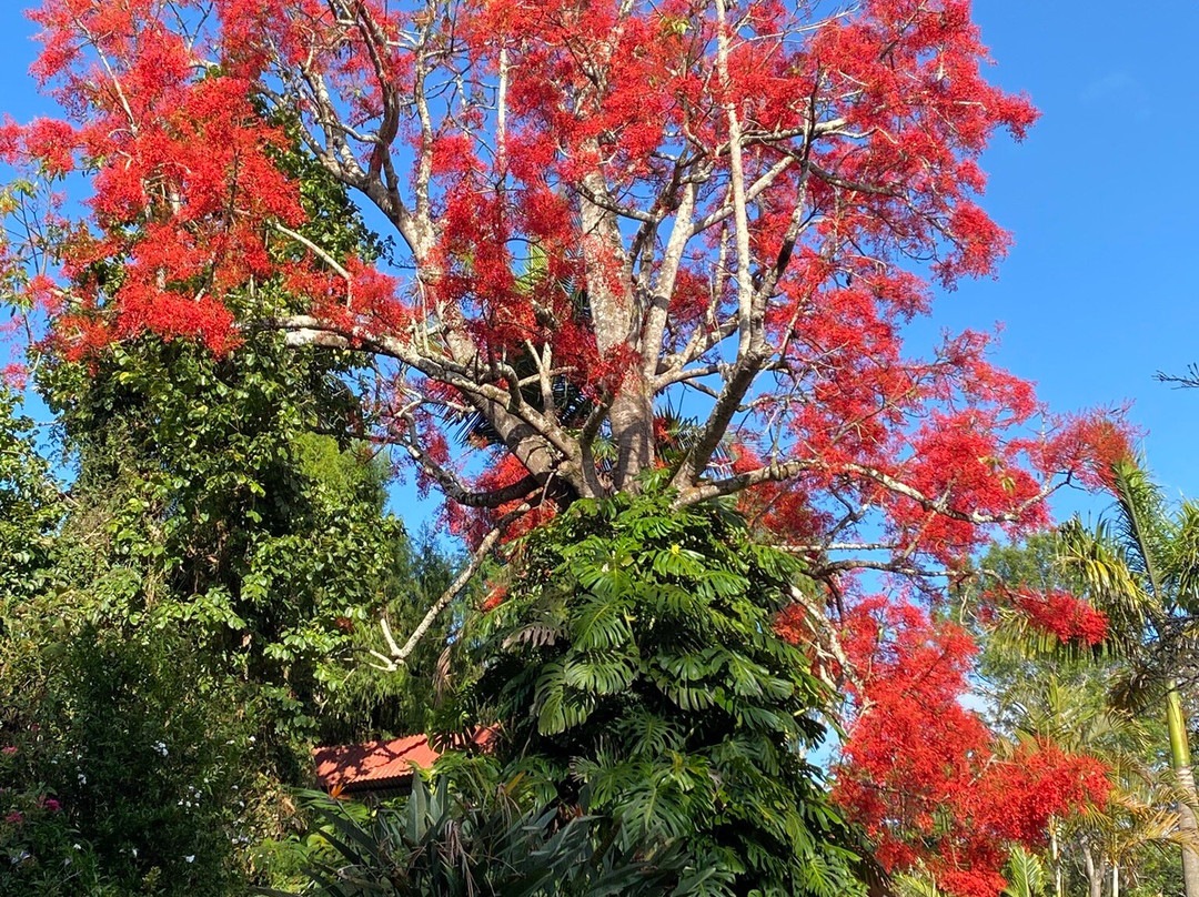 Mullers Mountain Lodge主图