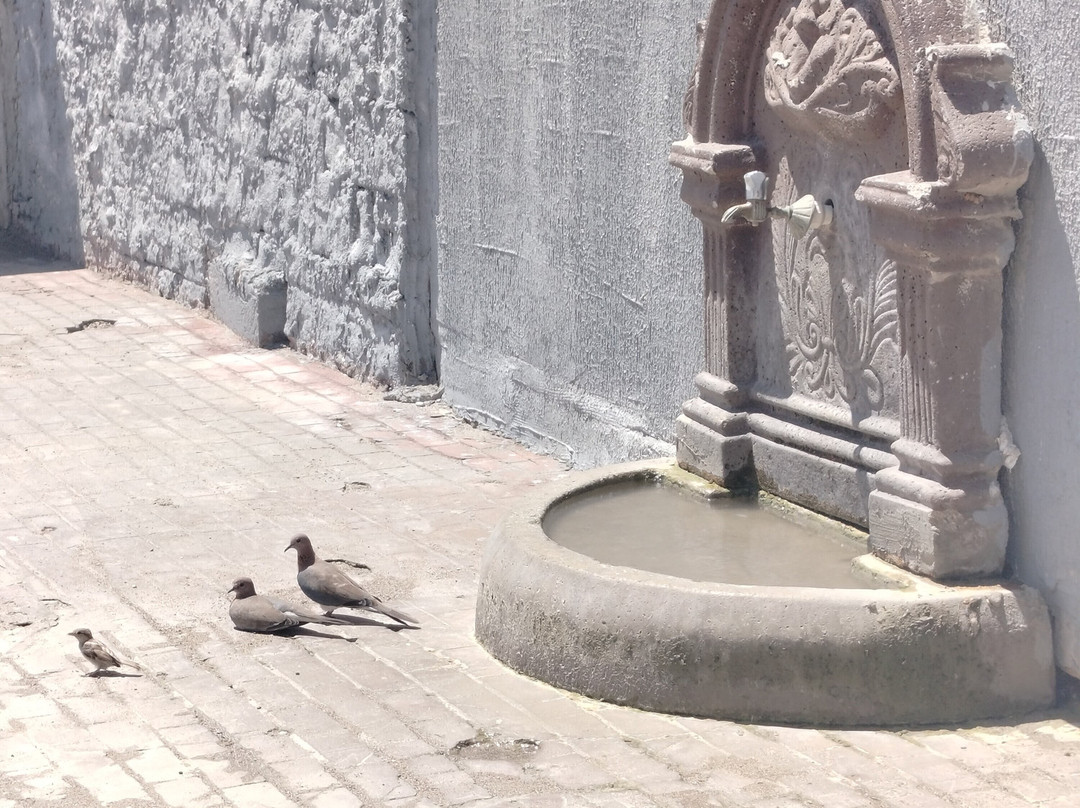 Aperion Beach Hotel Antalya主图