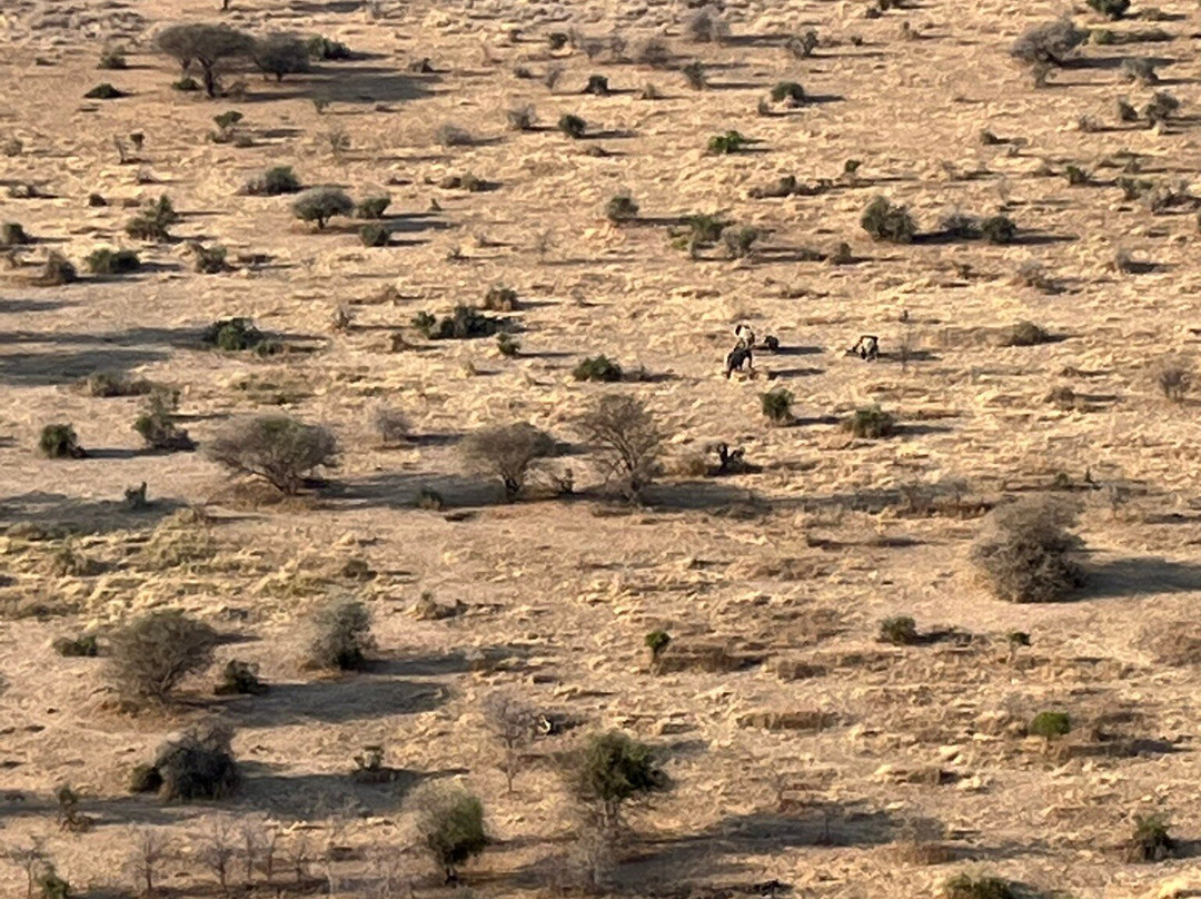 Serengeti Balloon Safaris-鲁阿哈国家公园必去景点