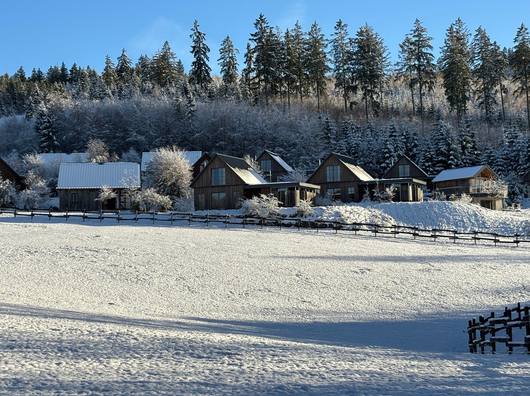 Bergdorf LiebesGrün主图