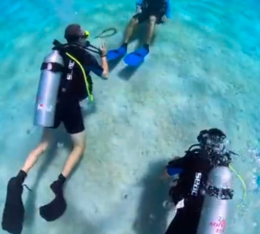 Central Dive Curacao-威廉斯塔德必去景点