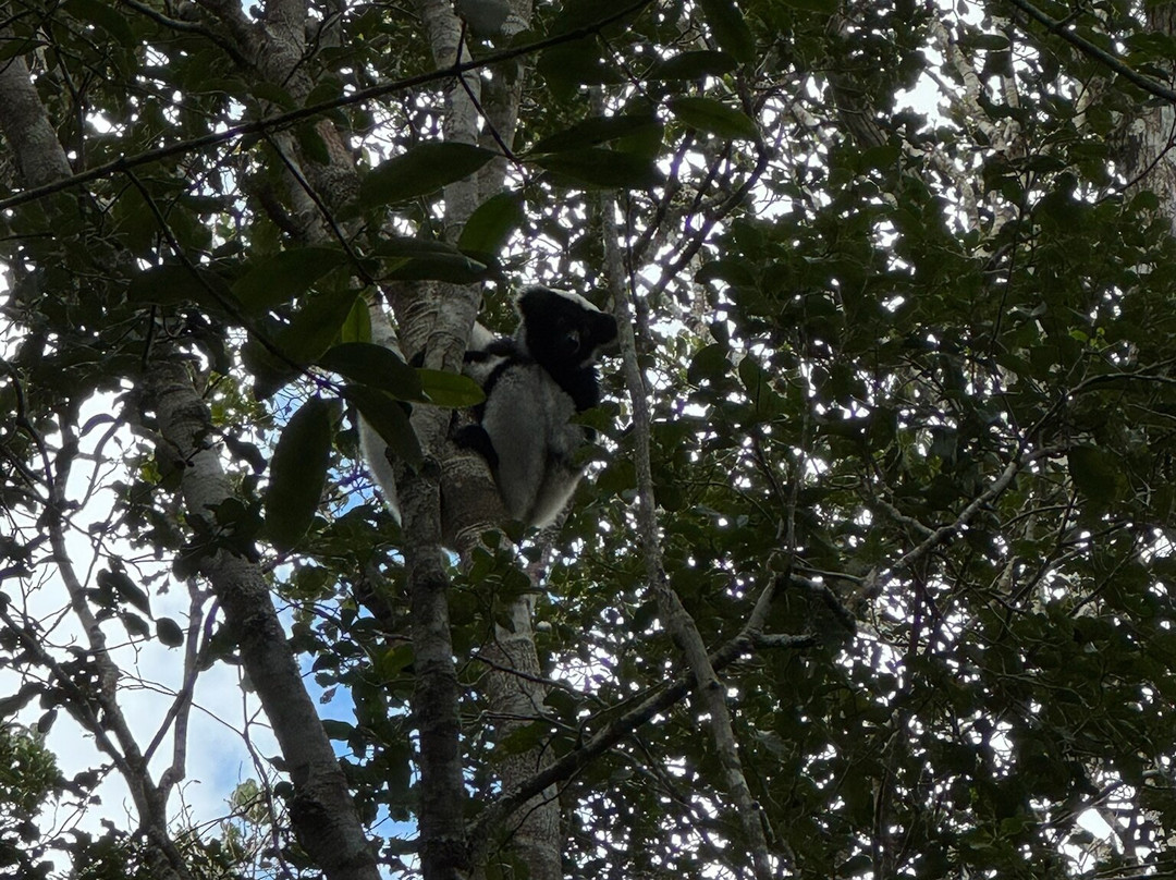 Viro Nomads Travel Co.-Ranomafana必去景点