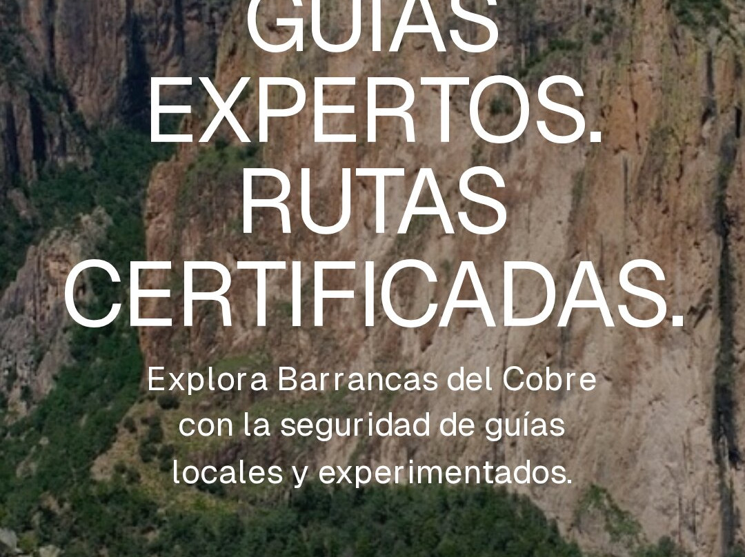 Hotel Posada Del Cobre主图