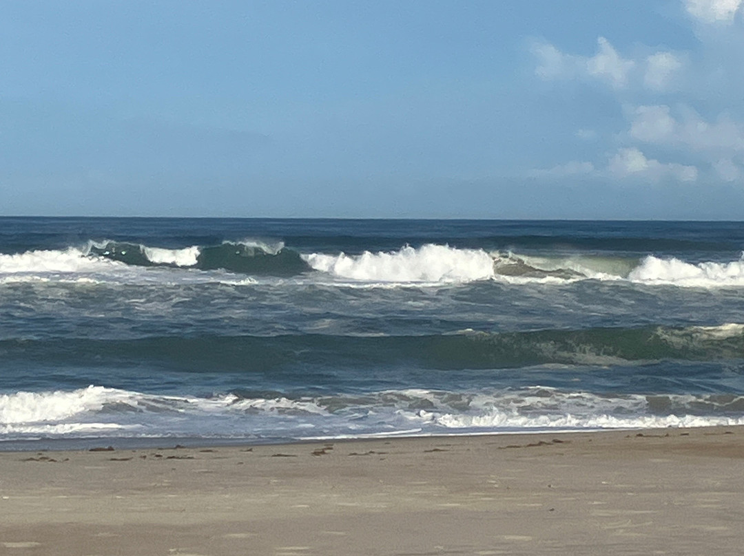 Salvo Beach-Salvo必去景点