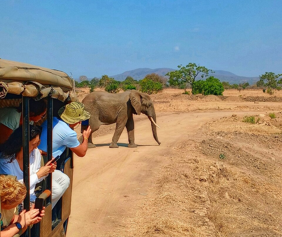 I Viaggi Di Dada Polly-基万嘎必去景点