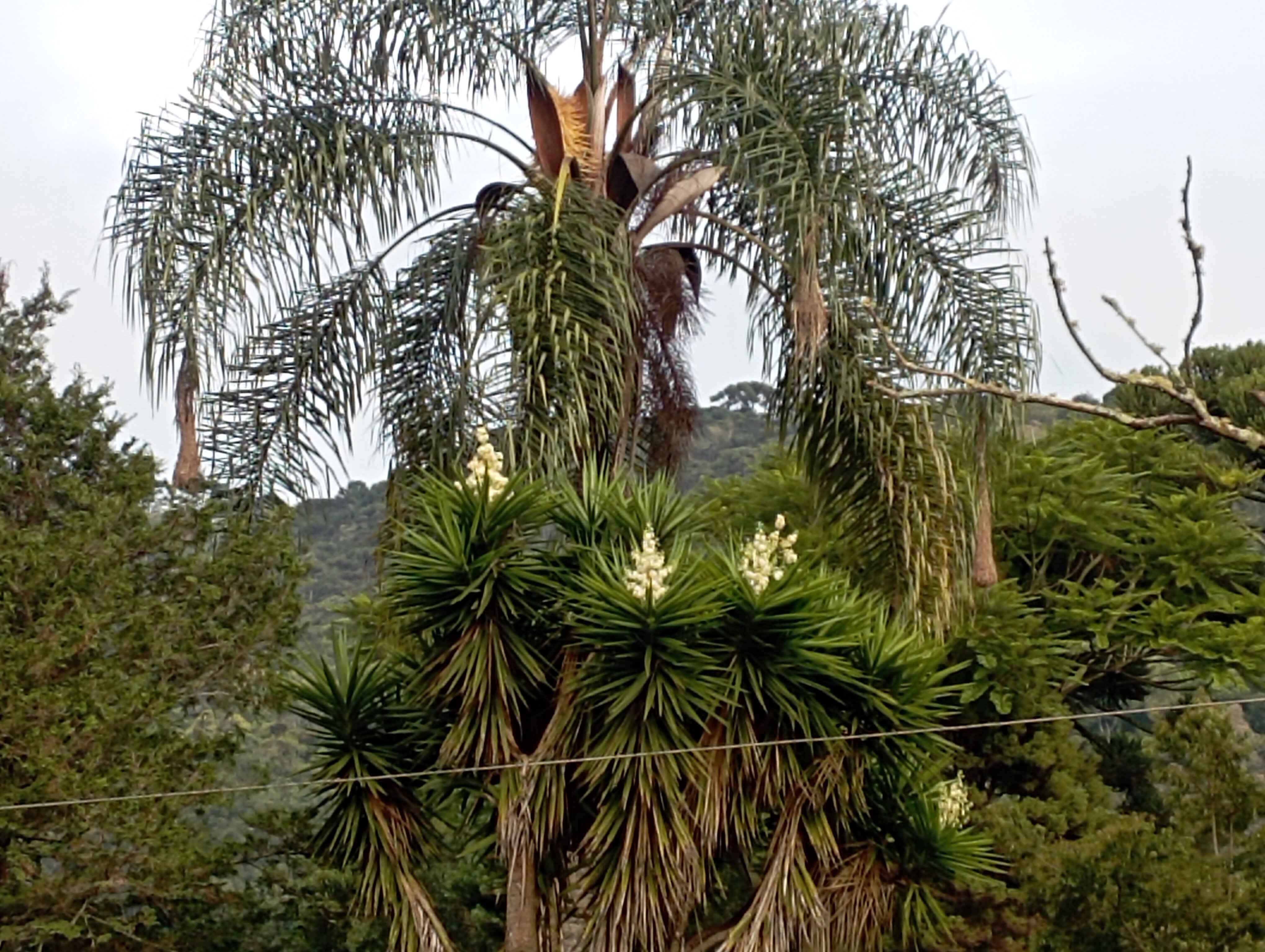 Pousada Vida Verde-官方