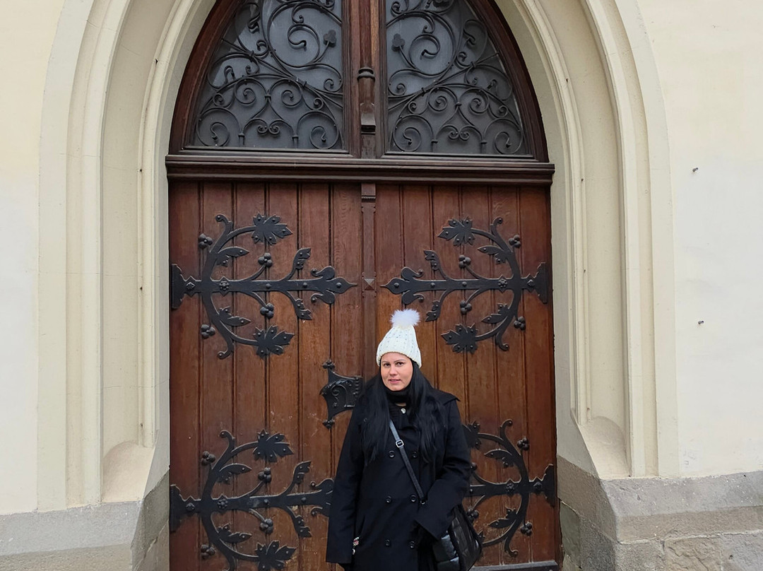 Maribor Cathedral (Church of St John the Baptist)-马里博尔必去景点