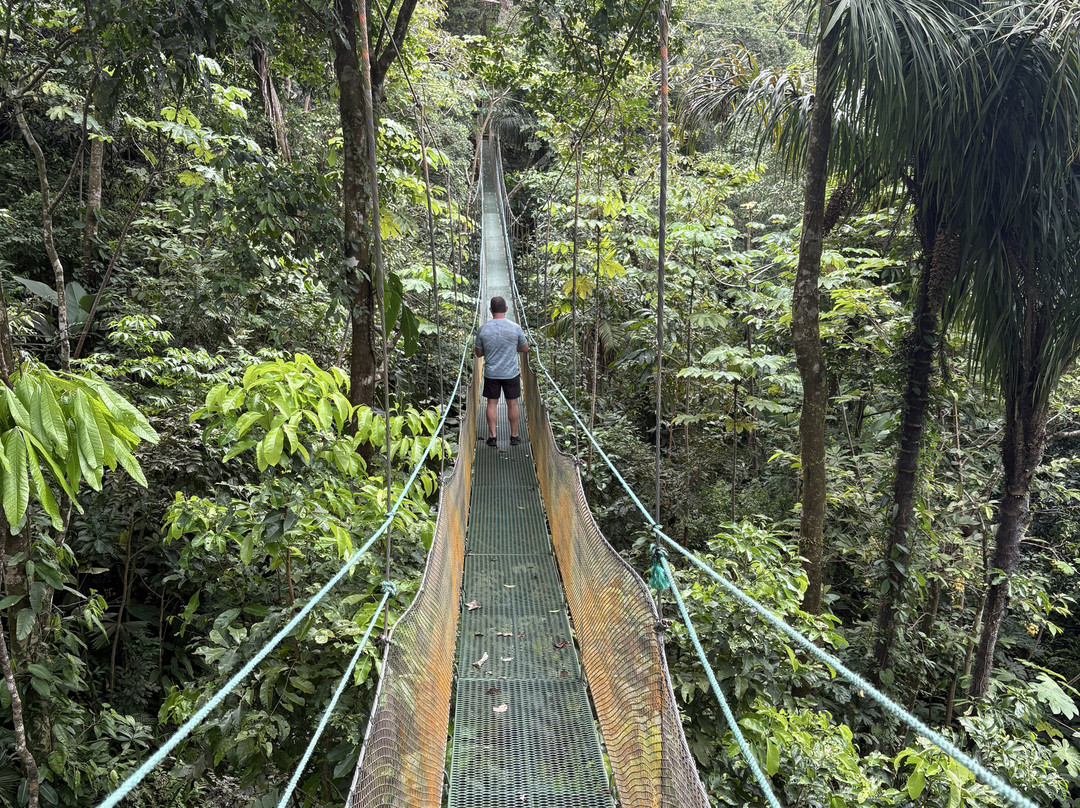 Mountain Top Park-哥斯达黎加安东尼奥国家公园必去景点