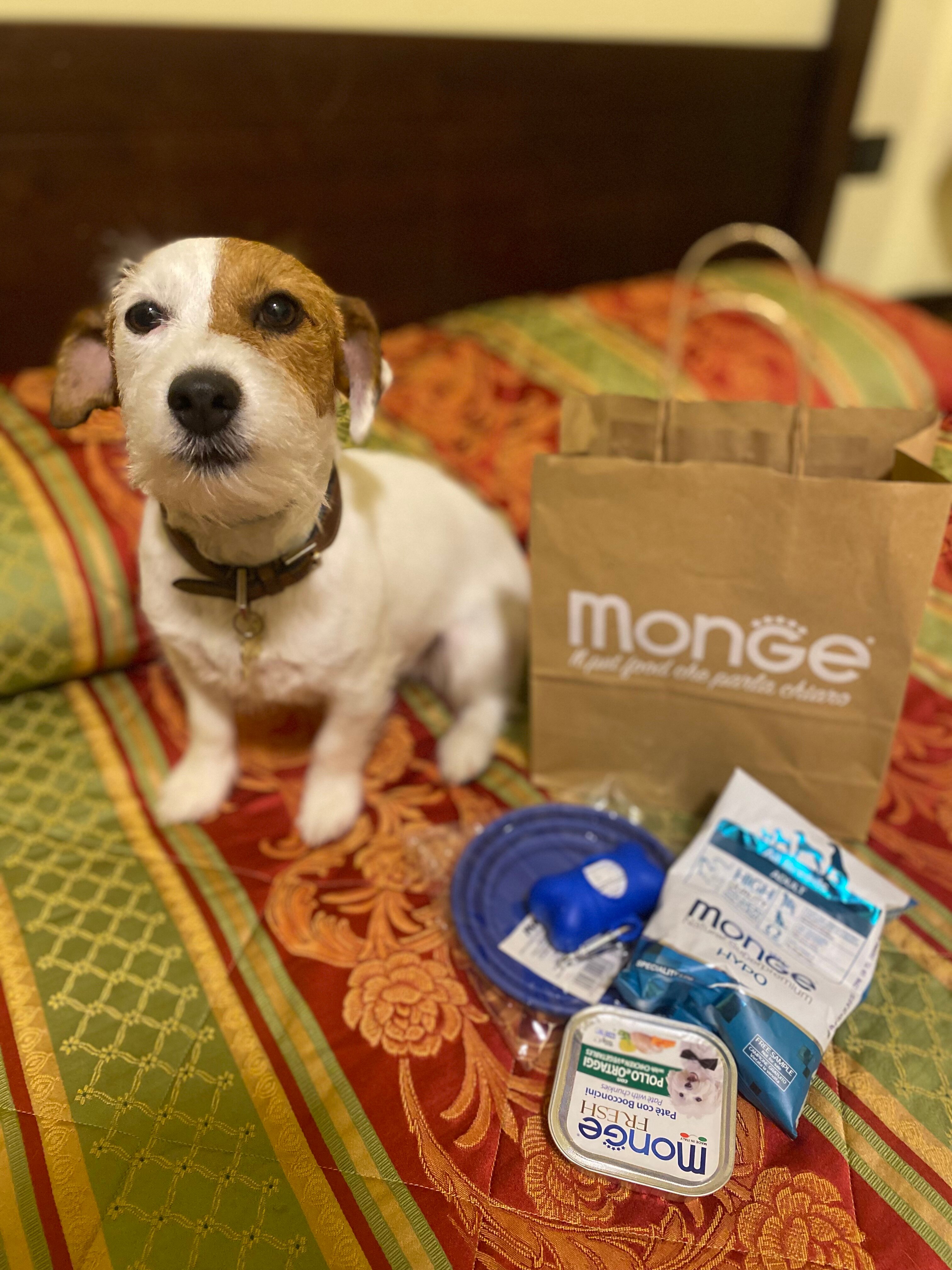 奥伯耶维耶雷酒店-官方