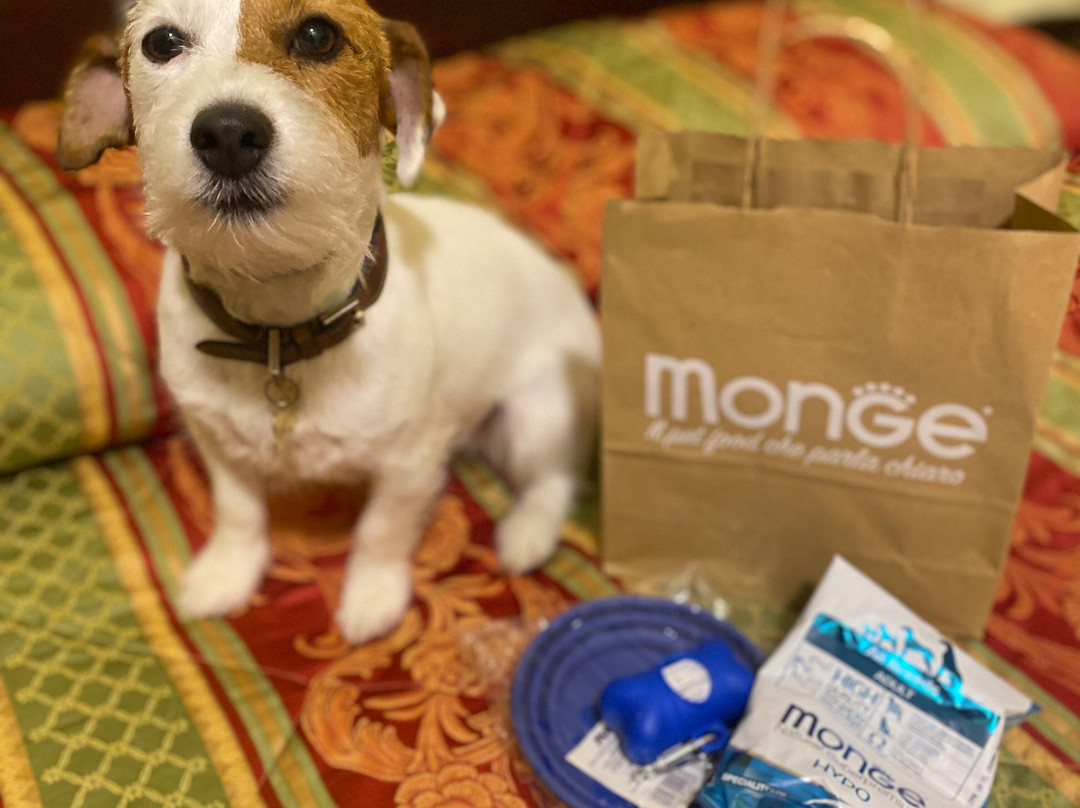 奥伯耶维耶雷酒店主图